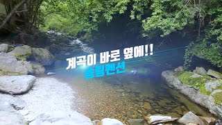 강원도 평창 진부에 위치한 펜션추천~ 송림펜션