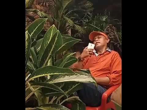 APAPUN TERJADI, ARIE KOESMIRAN