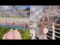 외국인 유학생 일상 | 벛꽃 감성, 그룹스터디, 부경대학교 벤치에서의 작은 피크닉 ♡ 韓国留学Vlog, 春の釜山, my daily life in Korea