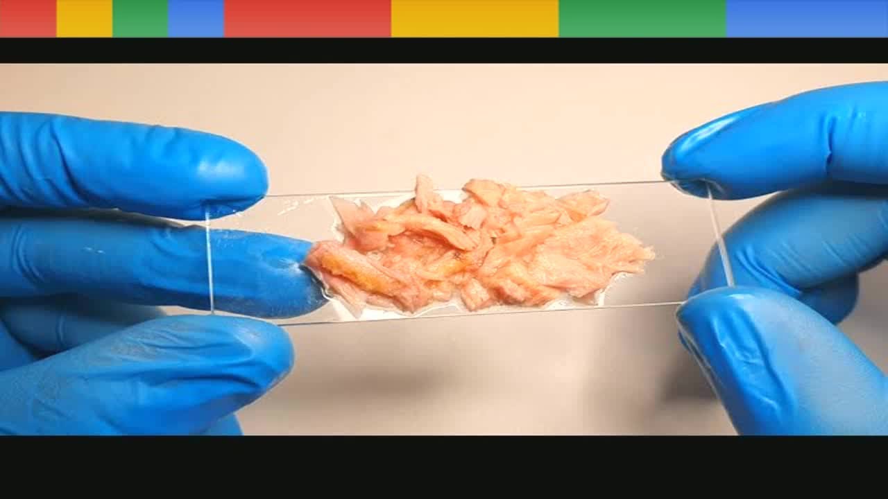 Warum gibt es Kunststoff in Fischfleisch?