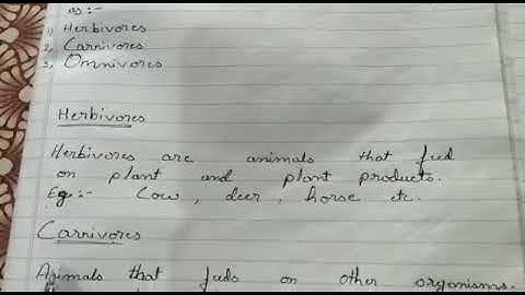 MLZS JHANSI Class 6 Science Chapter 1 Food