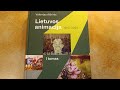 Lietuvos animacija 1910 - 2024m.
