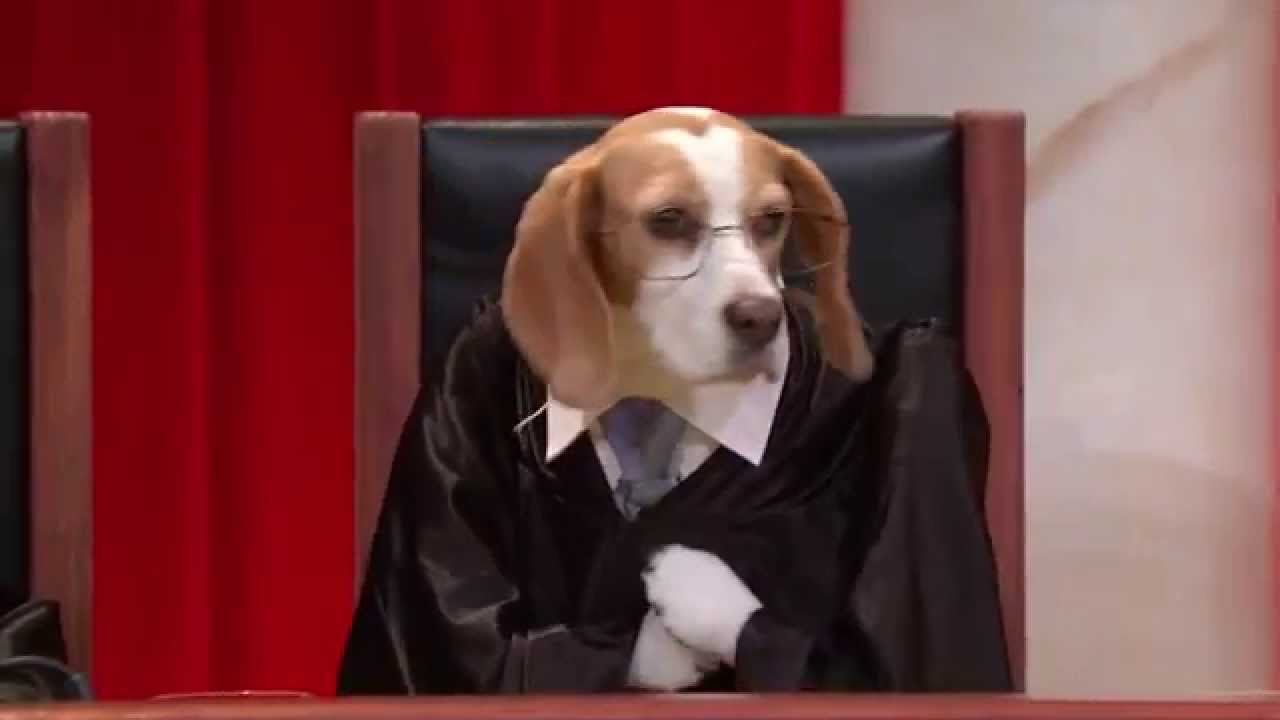 McCutcheon v. Federal Election Commission: Real Animals, Fake Paws
