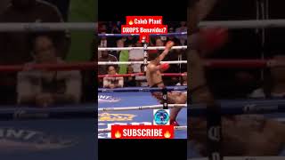 david Benavidez Dropped Vs Caleb Plant Plantvsbenavidez shorts