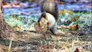 IMAGINARY LIKE THE JUSTICE