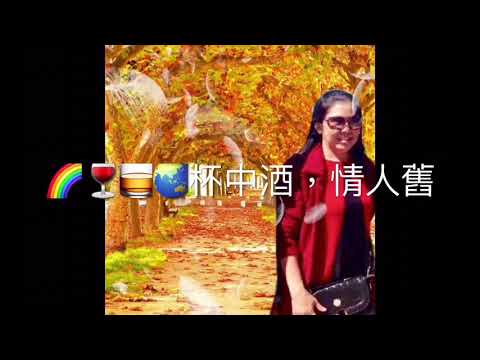 🌈🍷🍺🥃［杯中酒，情人舊］DJ何鹏版，雪卿唱（謝謝🙏關注和欣賞）