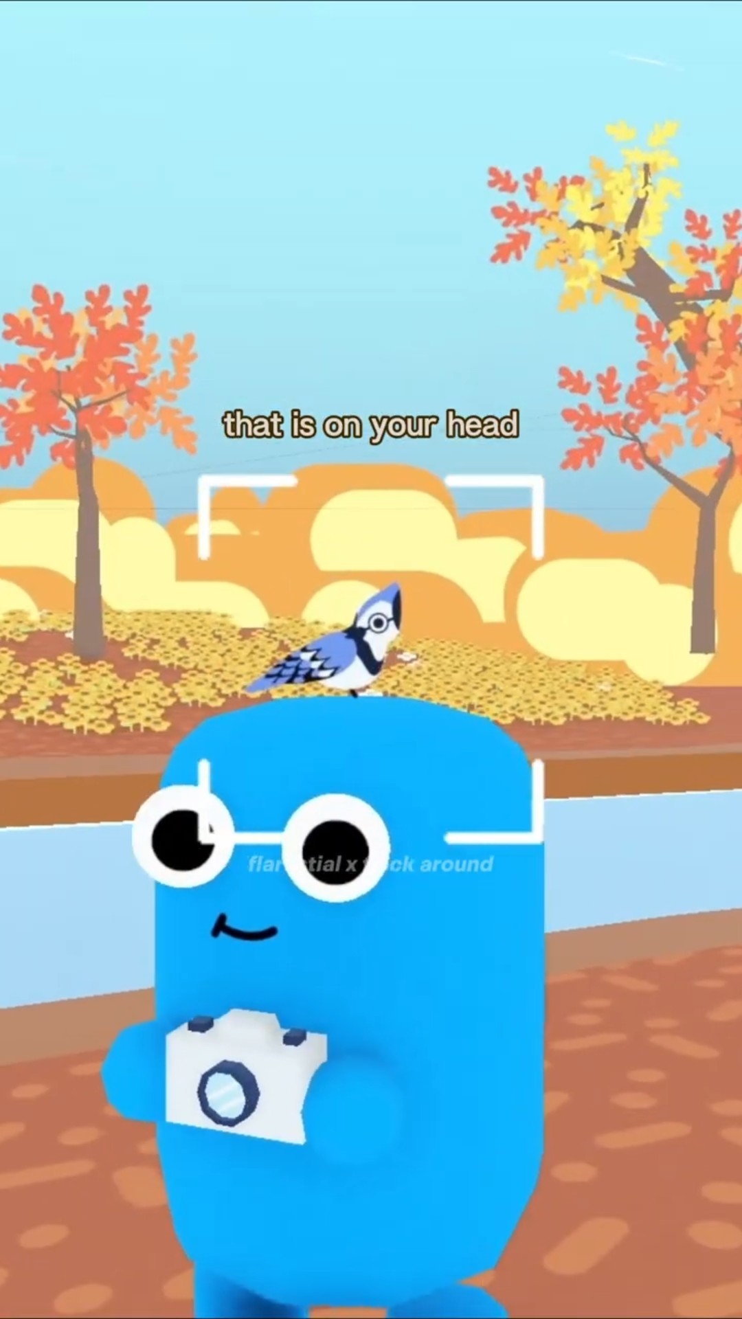 bird watching has never been more fun | Flock Around - YouTube