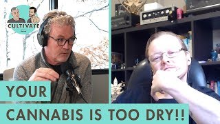 Dry Cannabis is a Problem Everywhere | Cultivate Clip