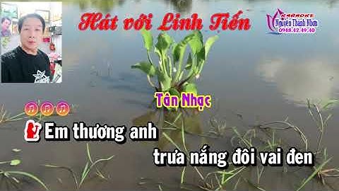 KARAOKE TÌNH NỒNG QUÊ HƯƠNG | HÁT VỚI NS LINH TIẾN