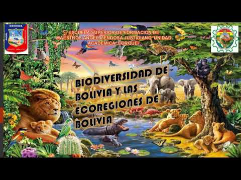 Las ecorregiones de Bolivia