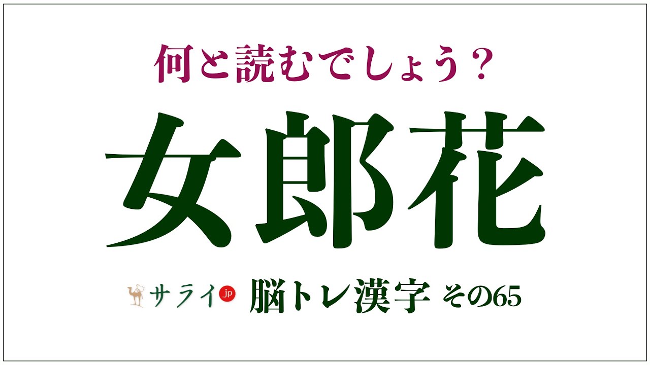 女郎花 は何と読む じょろうばな ではありません 脳トレ漢字65 サライ Jp 小学館の雑誌 サライ 公式サイト