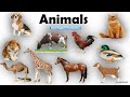 Animals Name | Learn Animals Name in English | Animals Name Basic English Learning  [Unit # 08]