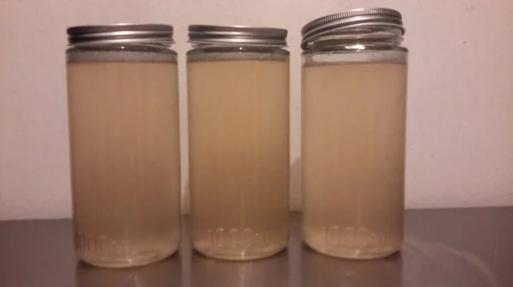 100% Coconut oil Liquid Soap Tutorial. Dual lye method - Dawn Organics