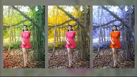 Photoshop Color Effect Tutorial