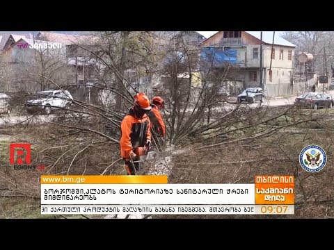 ბორჯომში, პლატოს ტერიტორიაზე სანიტარული ჭრები მიმდინარეობს