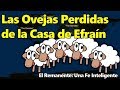 Las Ovejas Perdidas de la Casa de Efraín (Israel)