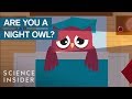 Understanding Circadian Rhythms and Social Jetlag