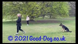 Sophie & Coco. Off lead heelwork by Good-Dog 284 views 3 years ago 1 minute, 26 seconds
