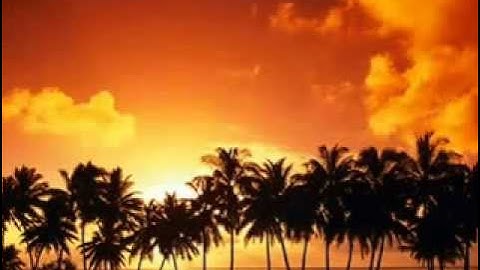 تلاوه رائعه جداً سورة يوسف   الشيخ يوسف ابكر 2