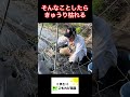 植え穴に化成肥料入れたら、そら枯れるで #農ある暮らし #家庭菜園