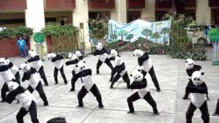 CARACOL 2009. GVES PANDAs.