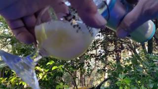 Cooper s Summer Ale 4 2