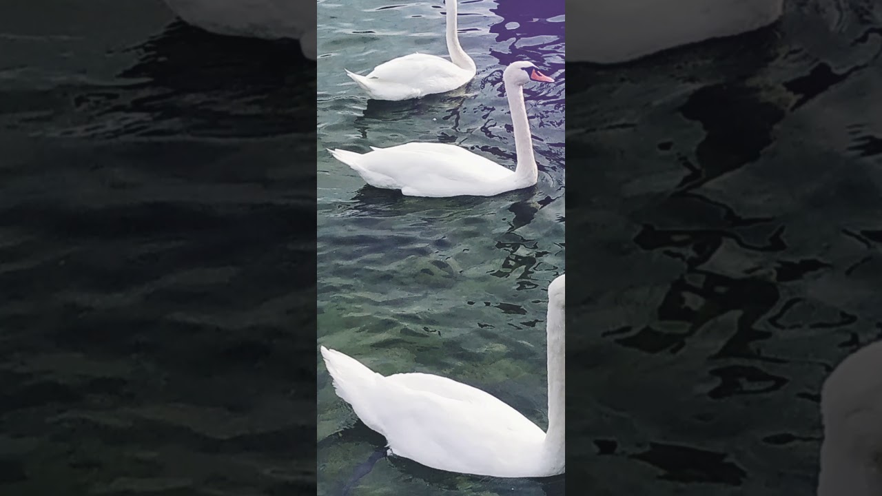 Австрия Гмунден