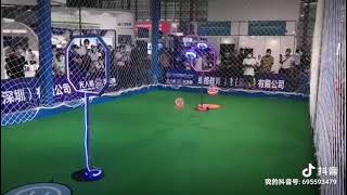 Ldarc Flyball Soccer Drone