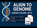 Align Reads to Reference Genome | Variant Calling Prep with BWA &amp; Bowtie2 | Ep. 41