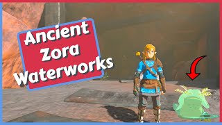 Ancient Zora Waterworks Guide (Bubbul Frog Location) in Zelda Tears of the Kingdom
