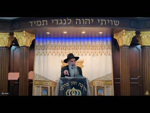 הרב מאיר דוד שמואלי שליט"א - בלק - ברית לשון קדושה