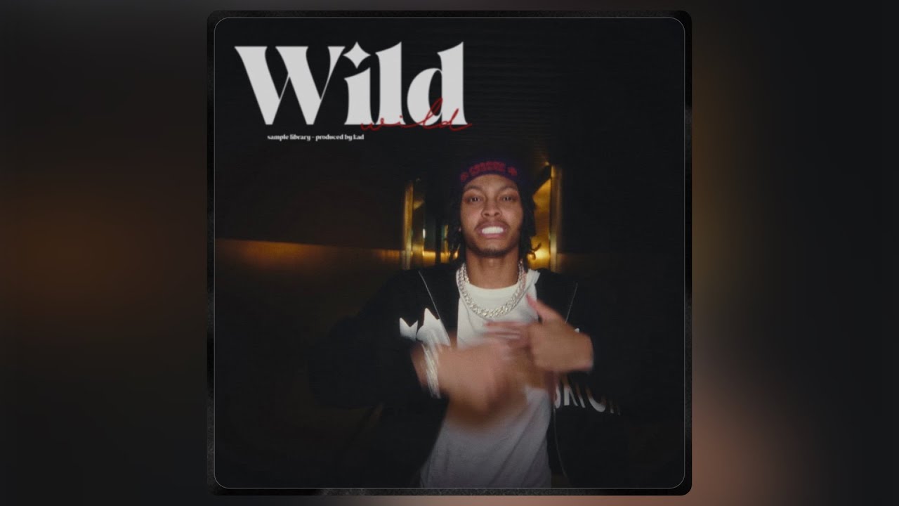 [FREE] Nemzzz x RnB Loop Kit 2025 | WILD (Knucks, Kidwild, Glizz, Cash Cobain, Central Cee)