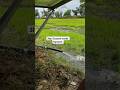 खराब मौसम में भी चले || Ecozen Solar Pump || 3Hp Moter ll   #solarpump  #trending #panjabisong