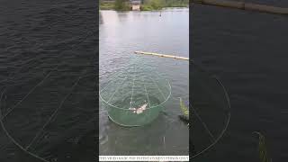 Papa spoiled everything #trending #shorts ❤️