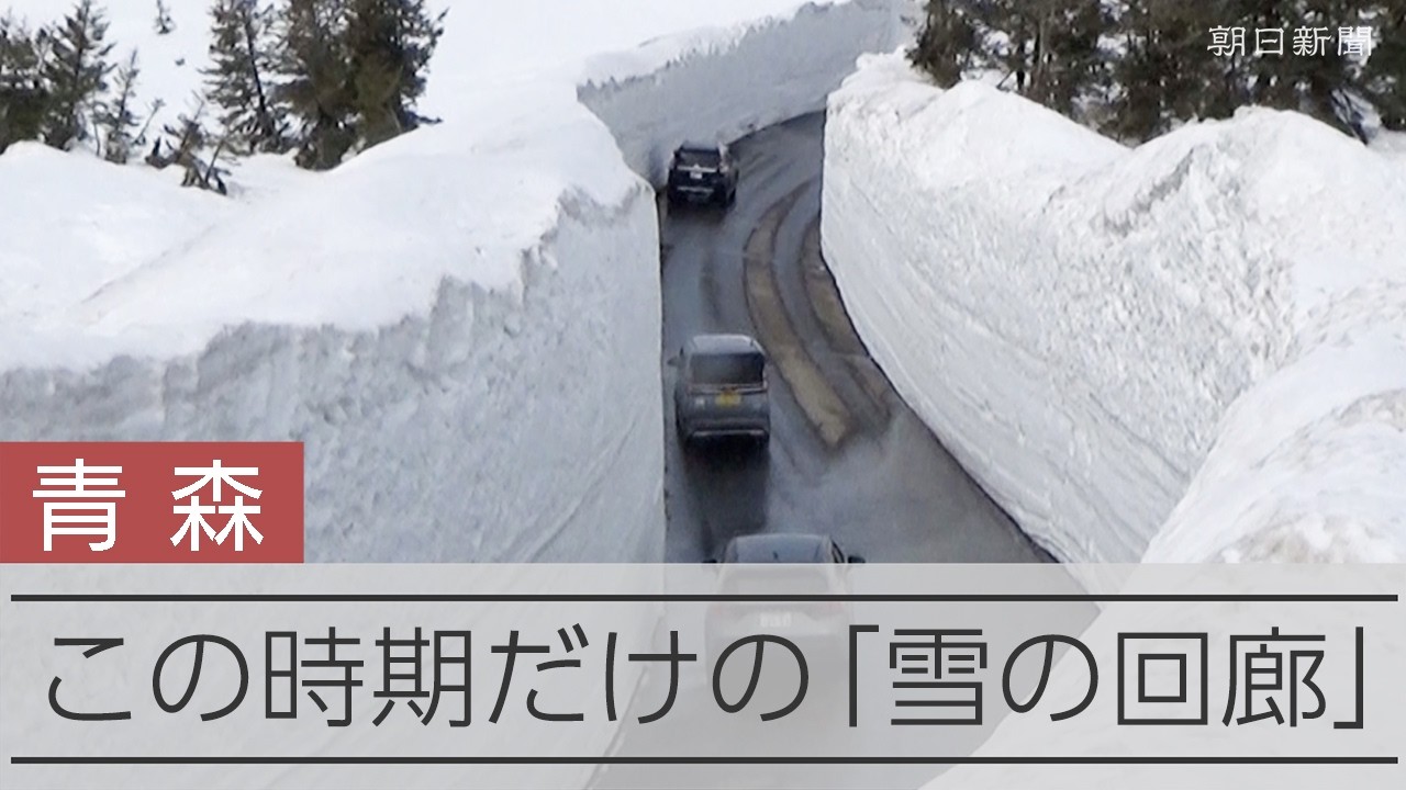 3～6mの雪の壁 青森・八甲田山系の「雪の回廊」、青森～十和田を