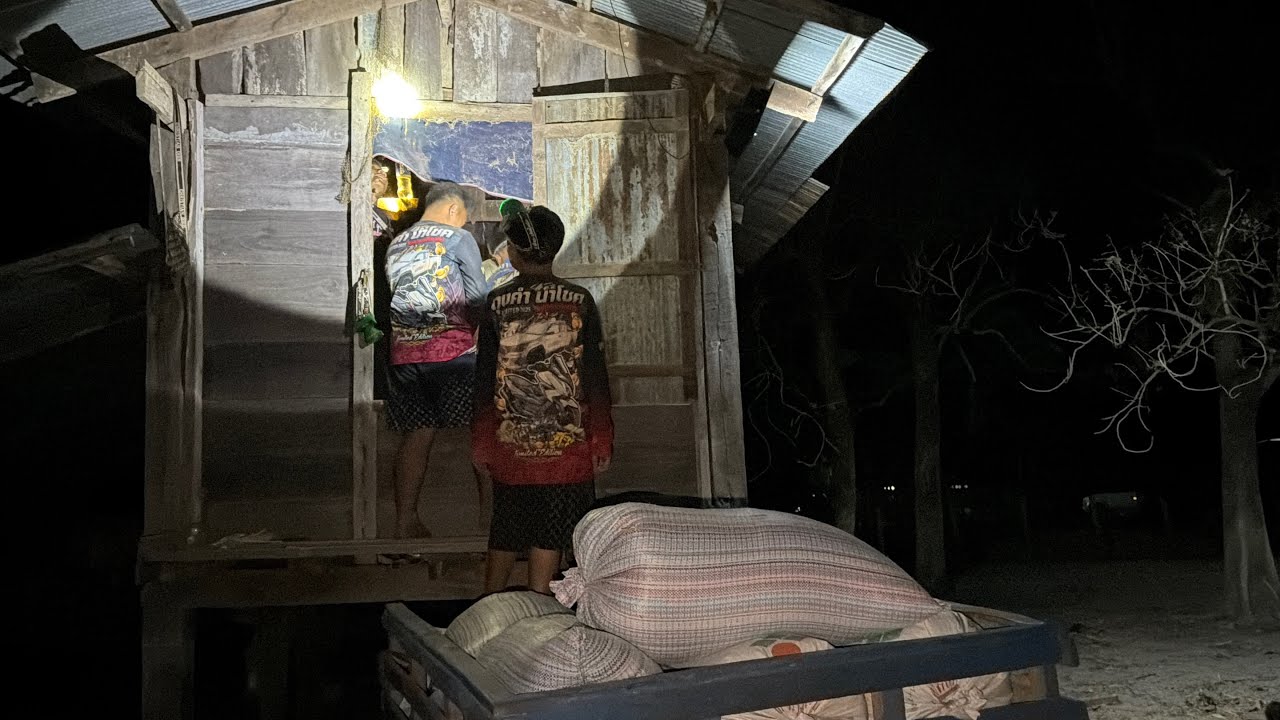 บักเวียเก่งสุด👍👍งานเข้า..ลมพัดหลังคาเล้าไปหมด ทีมงานช่วยกันขนข้าว