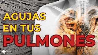 AGUJAS escondidas en tus PULMONES: el asbesto