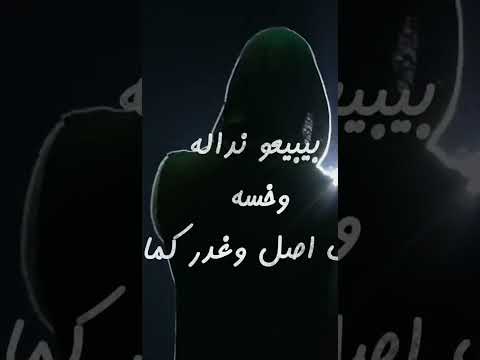 اغنيه انا عندي كلام رمضان البرنس