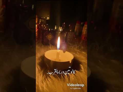 انت البدايات مصطفى الربيعي