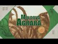 Moldova agrară din 05 06 22