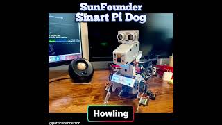 Easy PiDog Python Project for STEM #RobotDog #Python #RaspberryPi #Coding #techtok