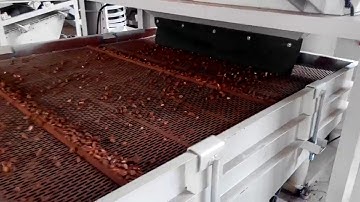 Pine Nut Shelling Machine, Pine Nut Cracker