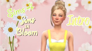 Introducing Daisy Bloom
