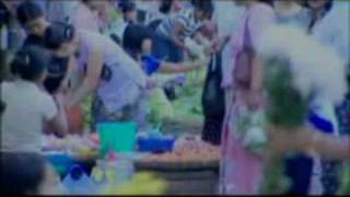 Why Should We Avoid Using Plastic Bags Part-1