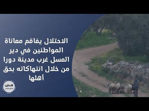 الاحتلال يفاقم معاناة المواطنين في دير العسل غرب مدينة دورا من خلال انتهاكاته بحق أهلها