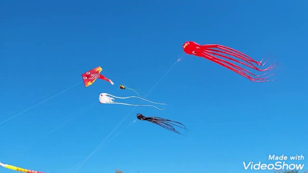 Фестиваль воздушных змеев - на пляже Лесного на Куршской косе  31/08/2024