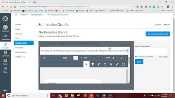 Canvas: Viewing Feedback as a Student