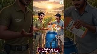 🌽 మొక్కజొన్నలో Fall Armyworm పురుగులు ఎక్కువగా వస్తున్నాయా? #fallarmyworm