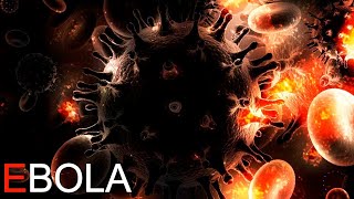 Ebola 2 прохождение игры. Эбола игра Хоррор прохождение на ПК на ультра.