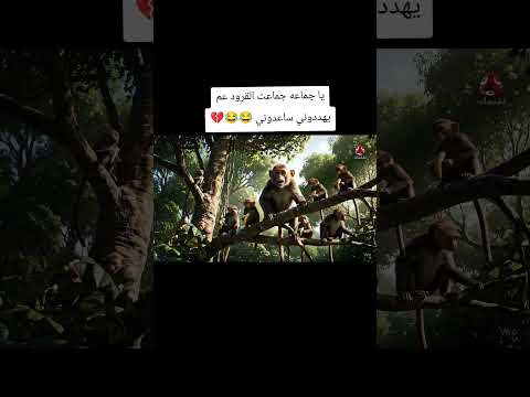 يا جماعة عم يهددوني ساعدوني رجائن ذكاء اصطناعي   القرد